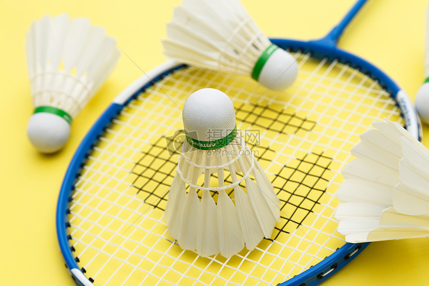 毋庸置疑 毋庸置疑